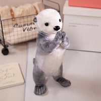 Grey otter