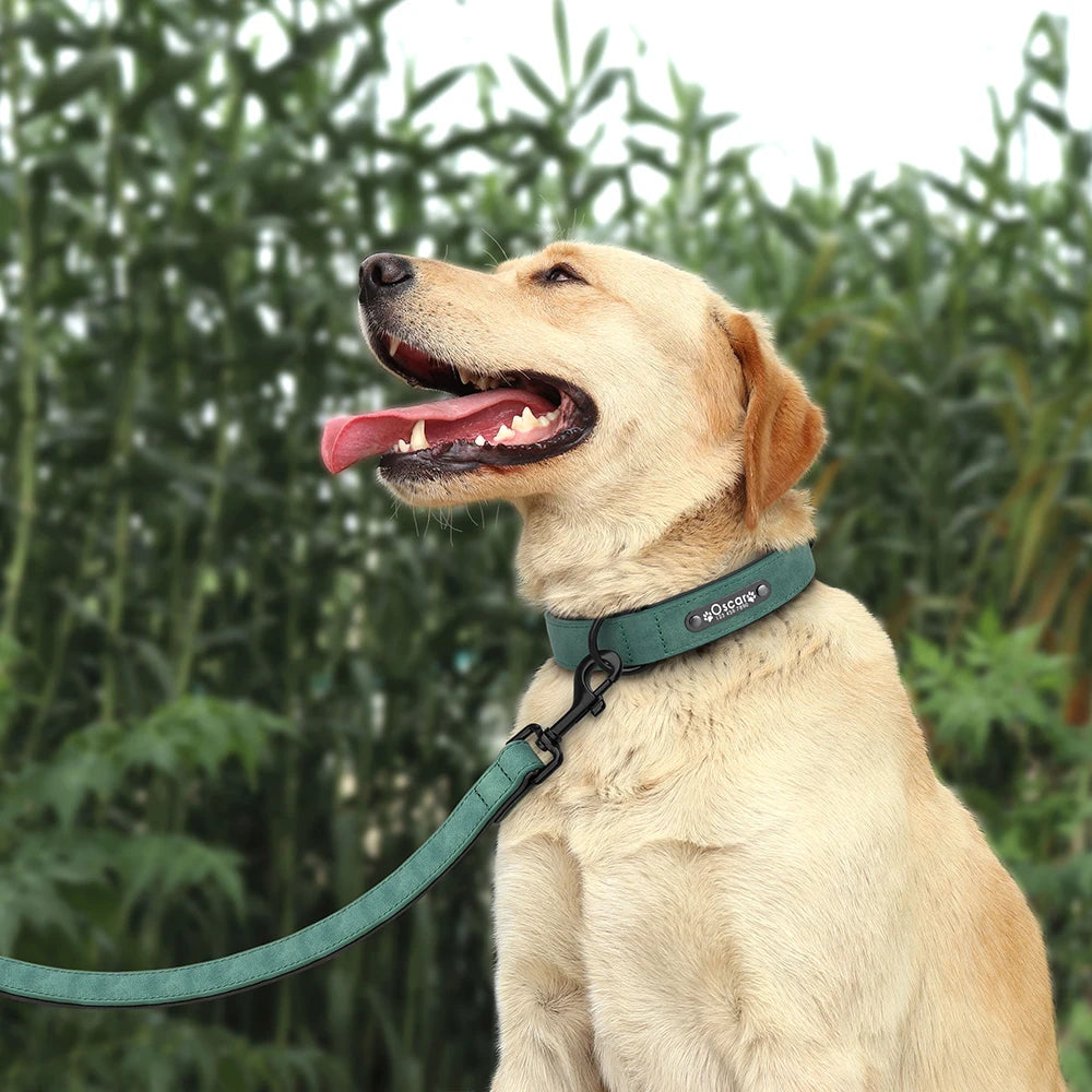 Custom Leather Dog Collar Leash Personalized Pet Collars and Leash Set Durable Leather Collar Lead for Small Medium Large Dogs
