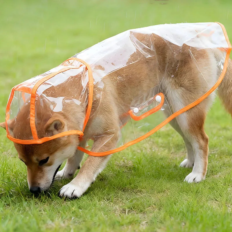S/Xl Pet Raincoat Transparent Dog Raincoat Waterproof and Windproof Pet Clothing Large Dog Pet Dog Dog Costume
