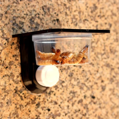 Reptile Tank Accessories Insect Spider Ants Nest Snake Gecko Food Water Feeding Bowl Terrarium Breeding Feeders Box Pets Supplie