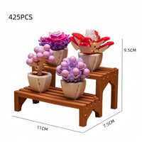 Succulent Potted C