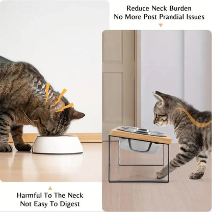 Elevated Cat Bowls 15° Tilted Raised Cat Food Bowls with Wooden Stand Anti Vomiting 2 Stainless Steel Bowls for Cats and Puppy