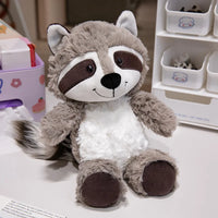 Gray Raccoon