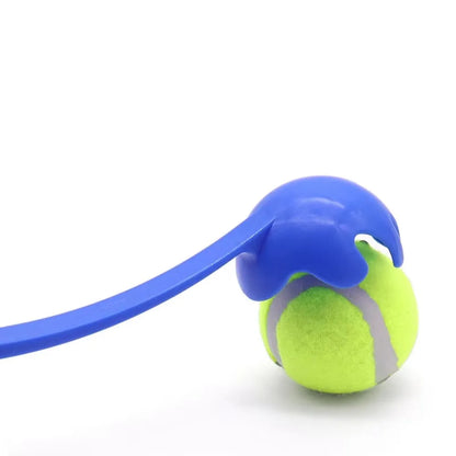 Pet Throwing Stick, Throwing Device, Throwing Toy, Dog And Cat Interactive Ball Picking Pet Toy Training Toys Pet Supplies
