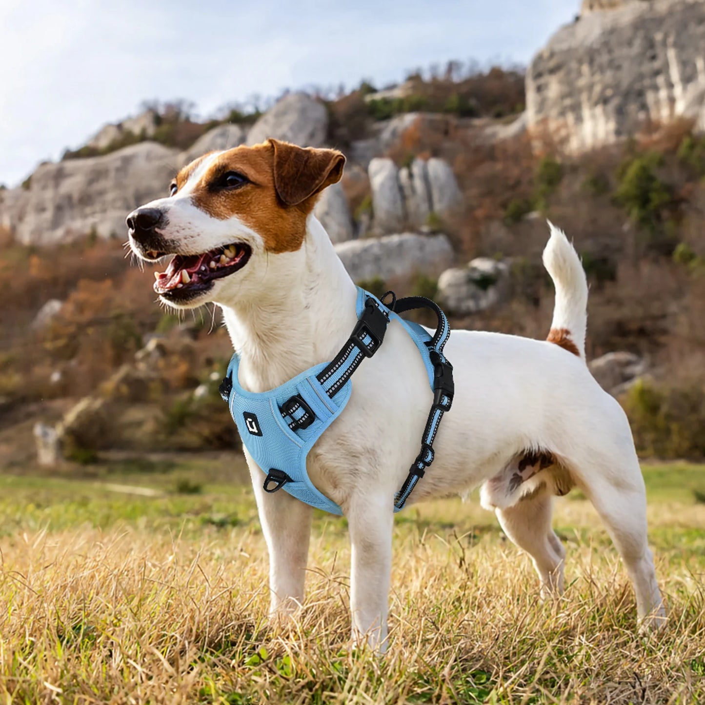 Dog Harness and Leash Combo, Escape Proof No Pull Vest Harness, with 5 Feet Leash, Reflective Adjustable Soft Padded Pet Harness