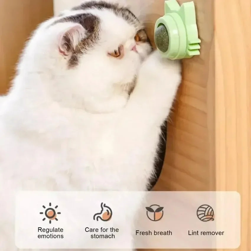 Lickable Catnip Balls Toy, Teeth Cleaning Chew Toy with Natural Catnip for Kittens & Cats, Sticks to Wall & Window