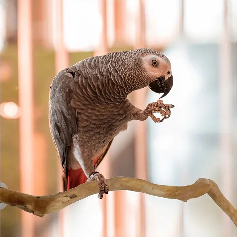Pet Standing Stick Wild Grape Wood Pole Parrot Cockatiel Parakeet Station Board Bite Claw Grinding Toy Bird Cage Accessories