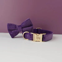 Bow Collar16
