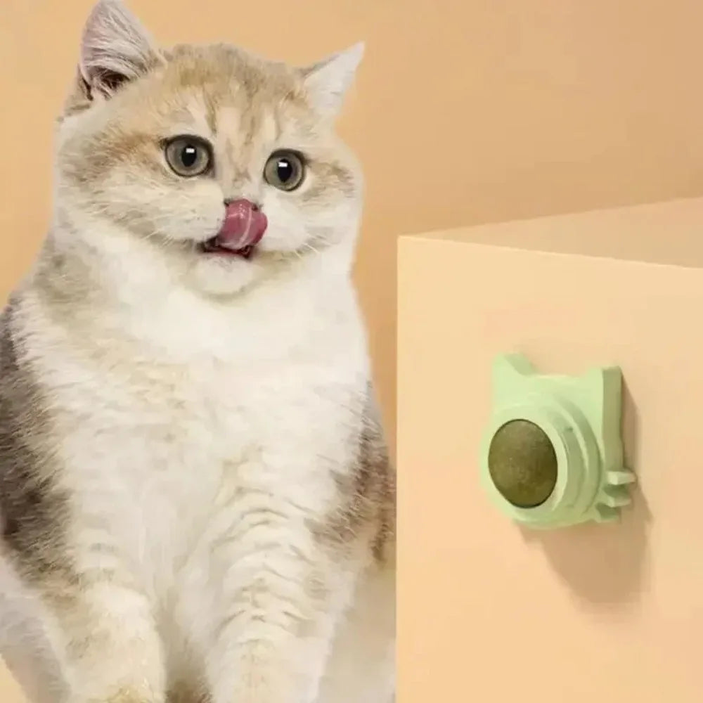 Lickable Catnip Balls Toy, Teeth Cleaning Chew Toy with Natural Catnip for Kittens & Cats, Sticks to Wall & Window