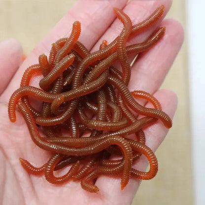 Lifelike Fishy Smell Red Soft Lures Simulation Earthworm Red Worms Artificial Fishing Lures