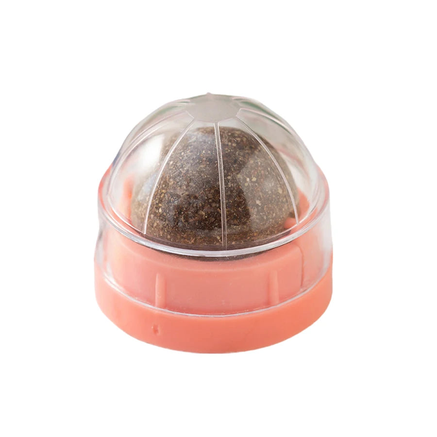 Interactive Spinning Catnip & Mint Ball for Cats Natural Dental Care Chew Toy Hairball Control Kitten Chew Toy