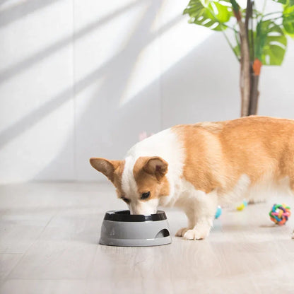 Pet Dog Bowls Floating Not Wetting Mouth Cat Bowl No Spill Drinking Water Feeder Plastic Portable Dog Bowl Outdoors Accessories