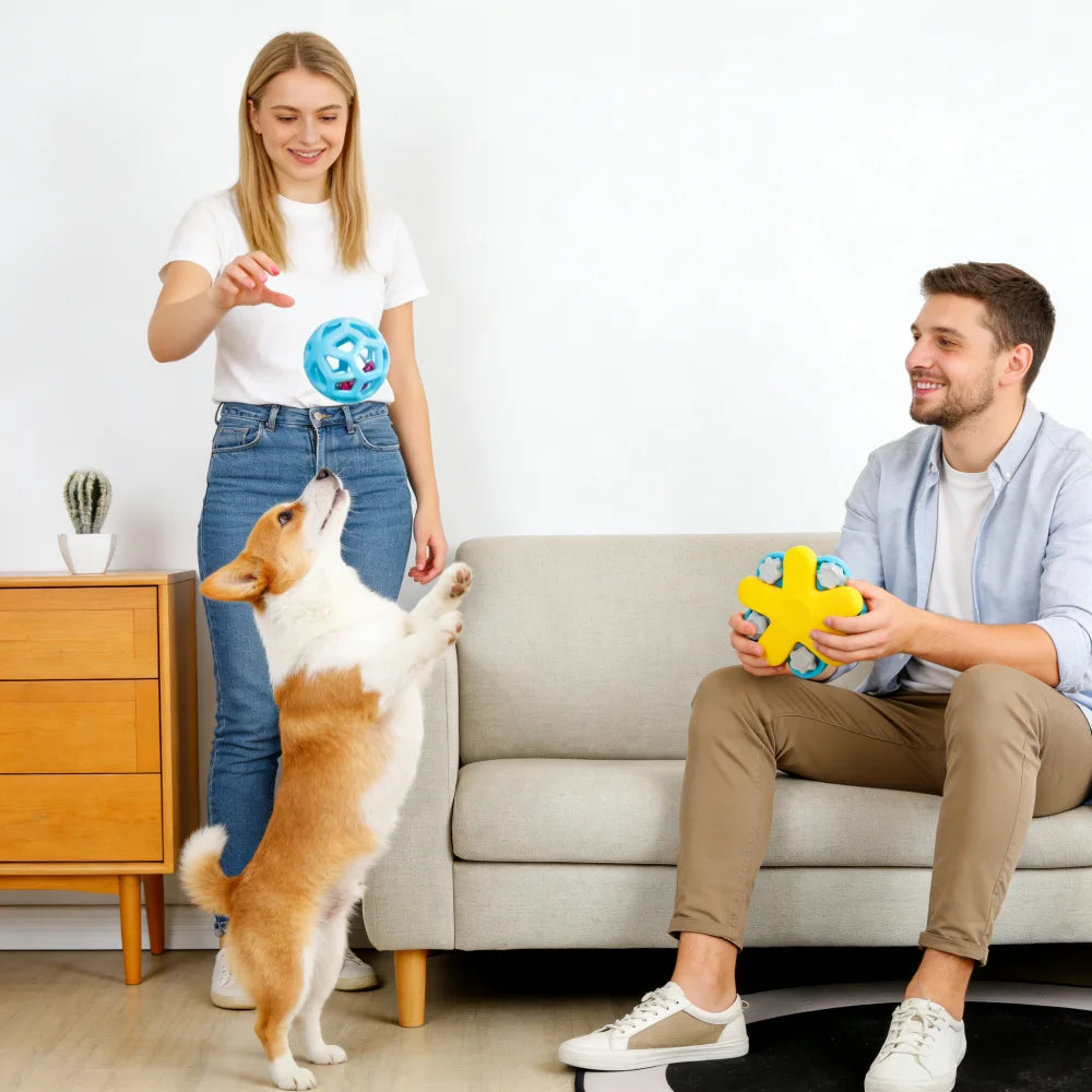 Dog Hollow Ball Toy Rubber Chew Toys for Dogs Cleaning Teeth Molar Bite Resistant Toy with Bell Puppy Training Game
