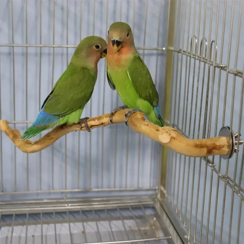 Pet Standing Stick Wild Grape Wood Pole Parrot Cockatiel Parakeet Station Board Bite Claw Grinding Toy Bird Cage Accessories