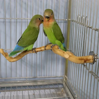 Pet Standing Stick Wild Grape Wood Pole Parrot Cockatiel Parakeet Station Board Bite Claw Grinding Toy Bird Cage Accessories