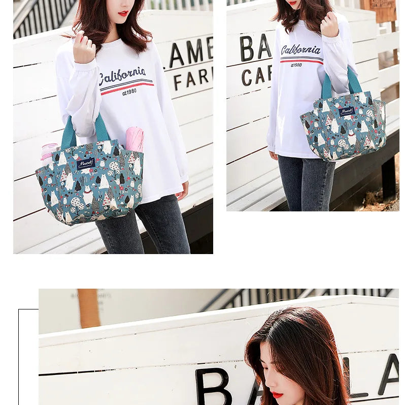 Rilibegan Lunch Bags Handbag Picnic Lunch Bags Bento Box For Family Outdoor Leisure Park Lunch Bag Big Capacity Family Lunch Bag