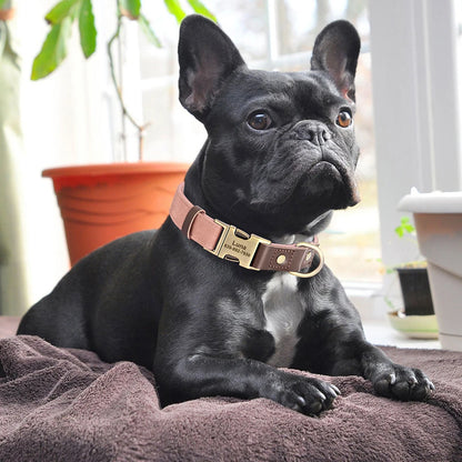 Personalized Dog Collar Leash PU Leather Dog Collars With Walking Lead Rope Free Custom Pet ID Necklace for Small Large Dogs Pug