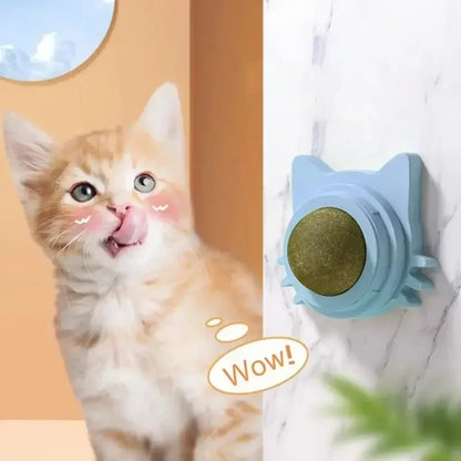 Lickable Catnip Balls Toy, Teeth Cleaning Chew Toy with Natural Catnip for Kittens & Cats, Sticks to Wall & Window