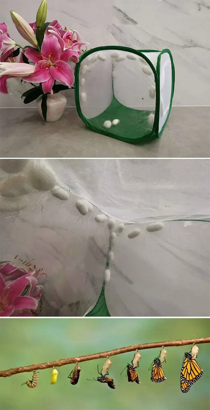 Collapsible Insect Cage Mesh Habitat Bird Butterfly Mantis Stick Grid Breeding Cricket Net Cloth Farm Cocoon Silkworm Hatch Cage