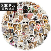 300pcs(3 packs)
