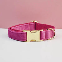 Dog collar23