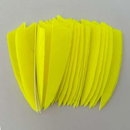 50Pcs 3 Inch Turkey Arrow Feathers Right  Wings Shield Cut Archery Feather Fletching for Bow and Arrow Accessories