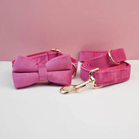 Bow Collar Leash23