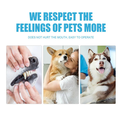 Pet Toothpaste Cats Dogs Cleaning Products Pet Oral Gum Care Cleaning Toothpaste Prevent Teeth Calculus Cats Edible Toothpaste