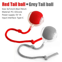 Red and Grey Tail