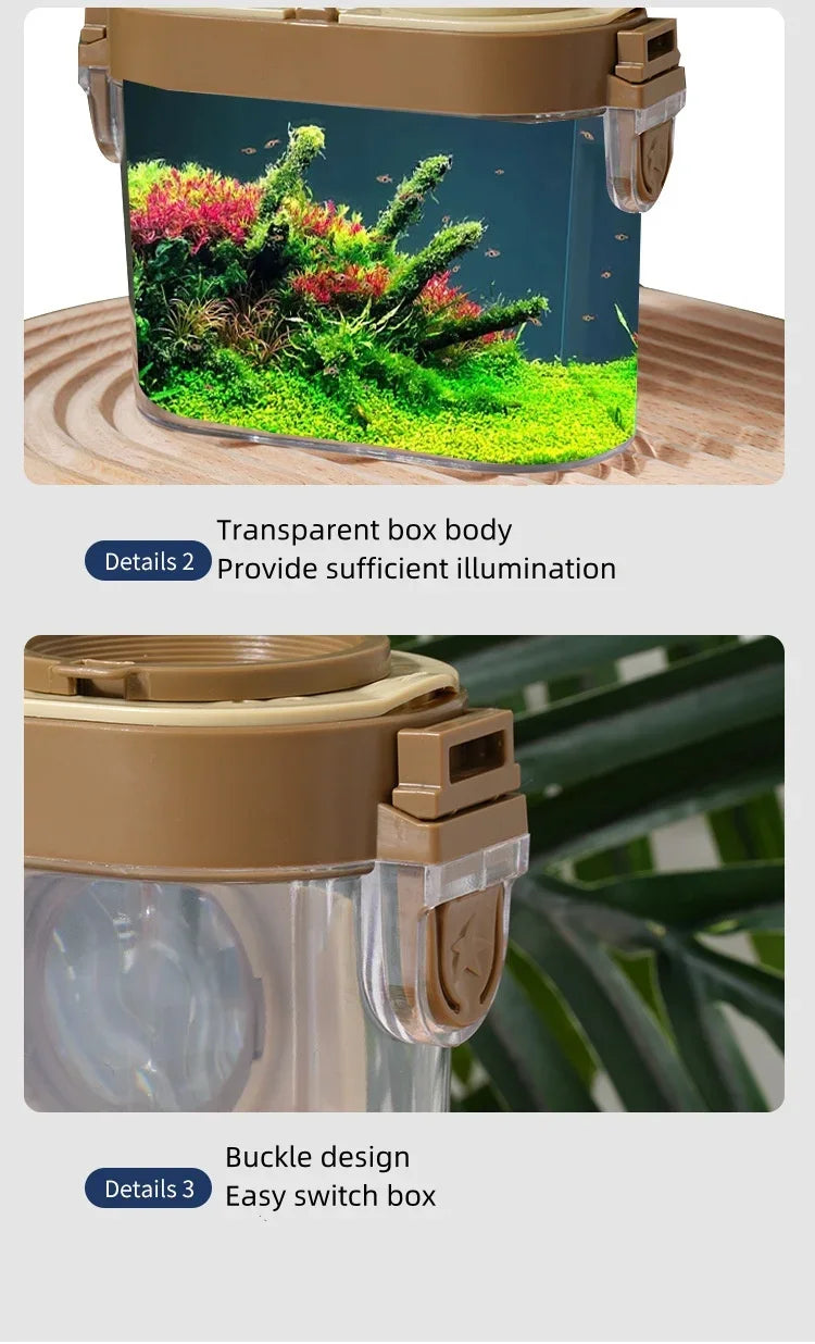 Novel Insect Observation Box Outdoor Collection Telescope Tadpole Butterfly Silkworm Biological Experiment Capture Tool