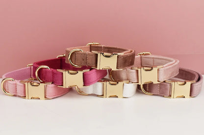 Velvet Collar Free Engrave Dog Collar Leash For Medium Big Pet Necklace Dog Accessories Dog Collars
