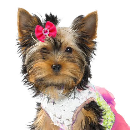 10/20/50PCS Dog Bow Puppy Grooming Accessories Decoration Cats Dogs Hair Bow Wholesale Multicolour Bow Rubber Band Pet Supplies
