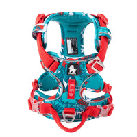 BLUE-TLH5653