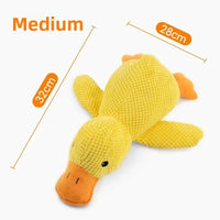 Medium 1pc