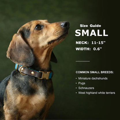 Personalized Dog Collar Leash PU Leather Dog Collars With Walking Lead Rope Free Custom Pet ID Necklace for Small Large Dogs Pug