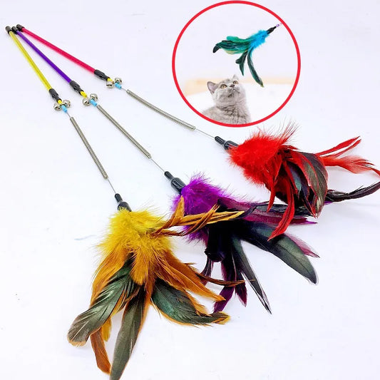 Cat Toy Feather Cats Sticks Teaser Cat Toys Interactive Spring Handle Kitten Toys with Bell Training Cats Stick Toy Pet Supplies