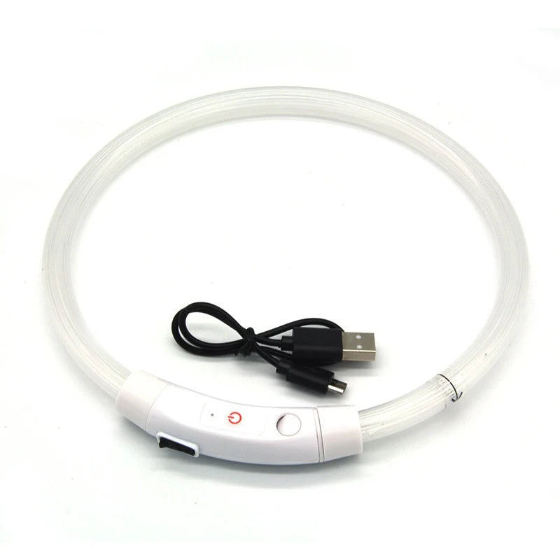 New Dog Luminous Collar Bright Dog Collar Glowing Led Light Dog Collar Light Night Safety GXQ02
