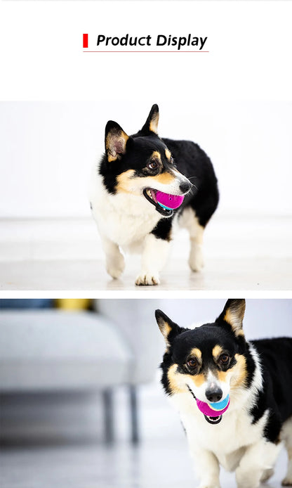 Pet Dog Squeaky Tennis Ball Interactive Dog Toys High Bounce Sound Rubber Ball  for Small Medium Dogs Training Outdoor Play Ball