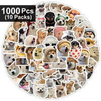 1000pcs(10 packs)