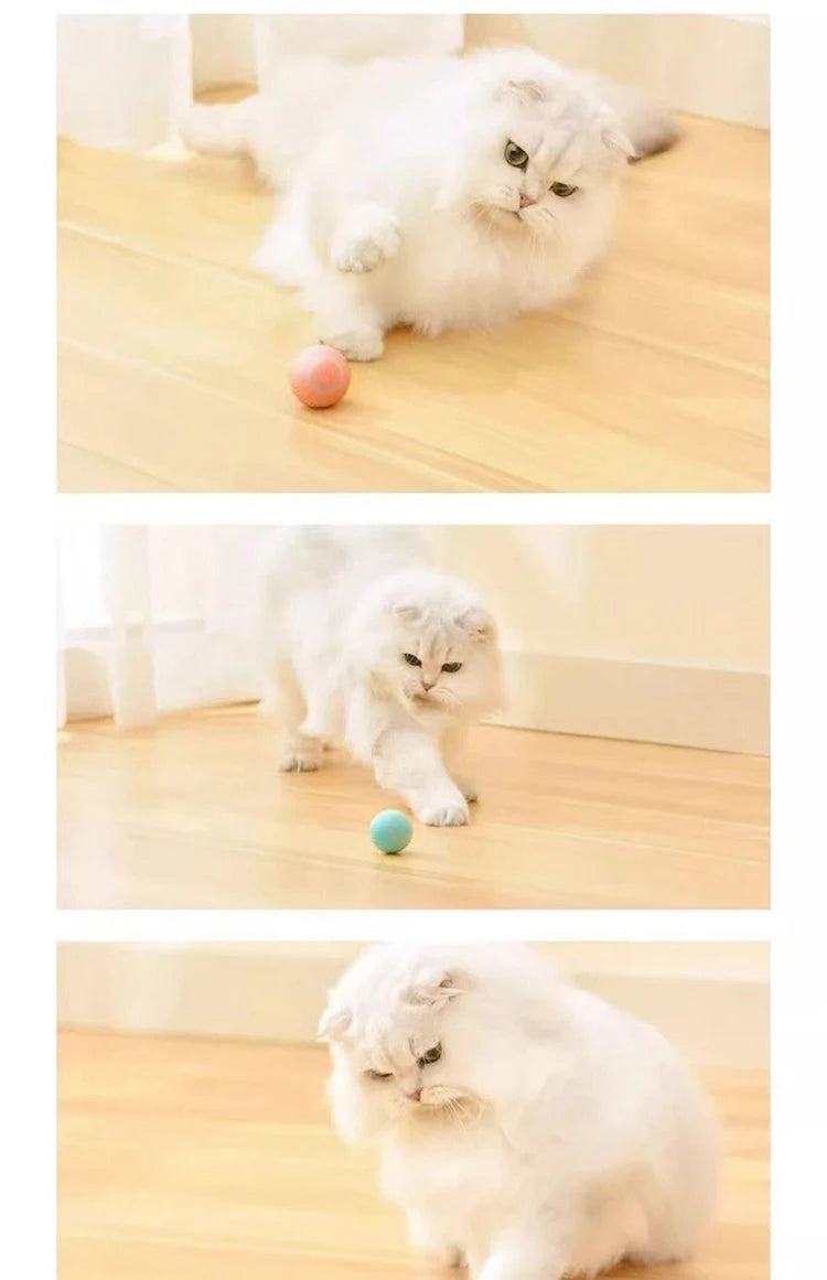 Interactive Cat Ball Automatic Cat Toy Indoor Cat Toy Electric Games Pet Products MWJ01
