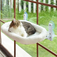 A05 White Cat Nest