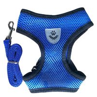 2-Blue