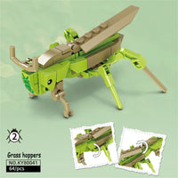Grass Hoppers Blocks