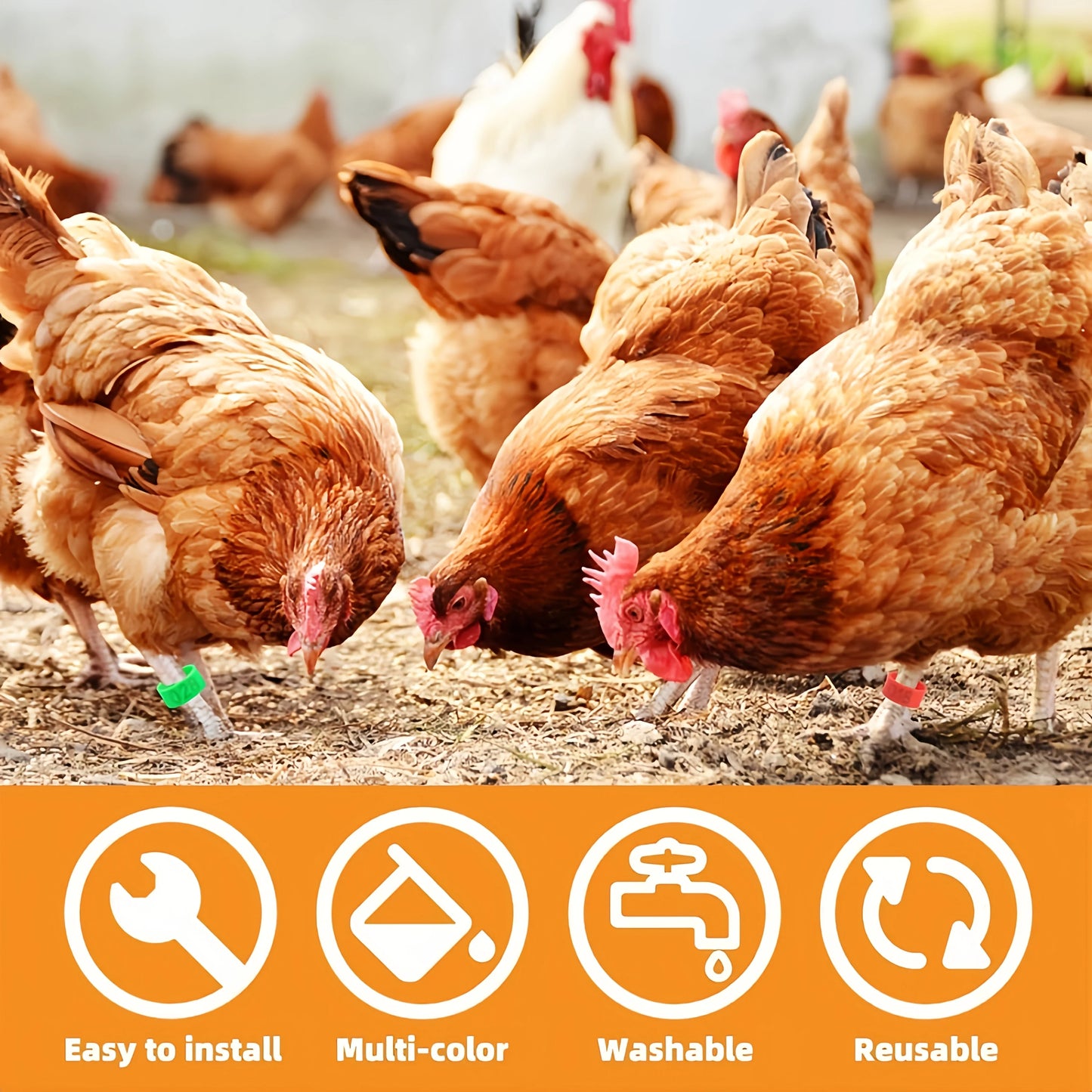 Farm Tag Rings, Chicken Leg Bands with Number Identification Hens Roosters, Poultry Foot Tags Breeding Chickens, Ducks, Geese