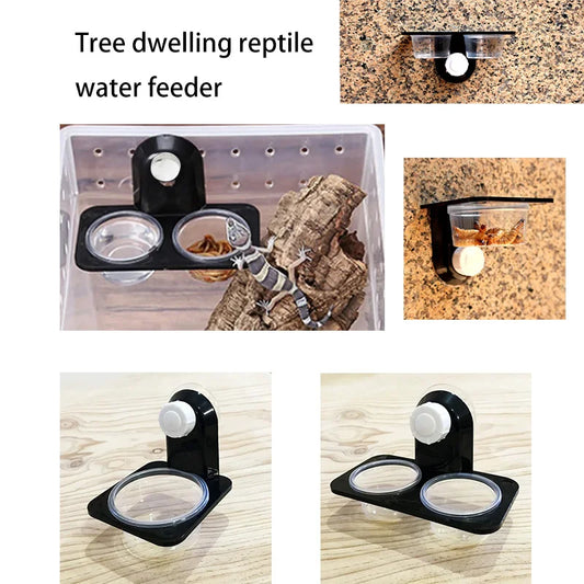 Reptile Tank Accessories Insect Spider Ants Nest Snake Gecko Food Water Feeding Bowl Terrarium Breeding Feeders Box Pets Supplie