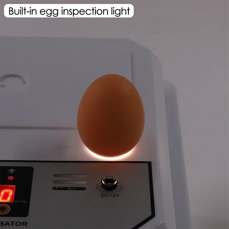 16 Eggs Farm Poultry Fully Automatic Turning Egg Incubator Dual-Electric Mini Household Brooder for Chicken Goose Duck Birds