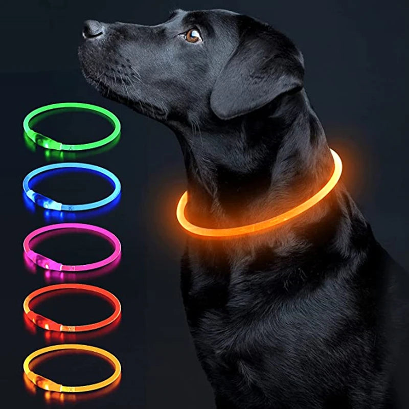 USB Charging Necklace Led Luminous Dog Collar Light , Flashing DIY Glowing Safety Anti Lost Cat Dogs Collar Accessories Supplies