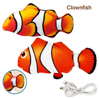 Clownfish