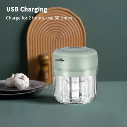 2027 250ml Mini Rechargeable Garlic Chopper Meat Grinder Durable and Sturdy Suitable for Crushing Garlic Chili Onions Minced Mea