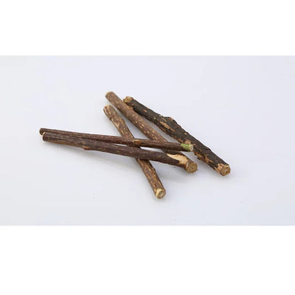 15pcs Pet Cat Toys Natural Catnip Cat Molar Stick Mint Caught Bite Excited Rods Silvervine For Cat Teeth Cleaning Treating